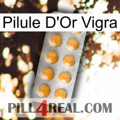 Vigra Gold Pill levitra1